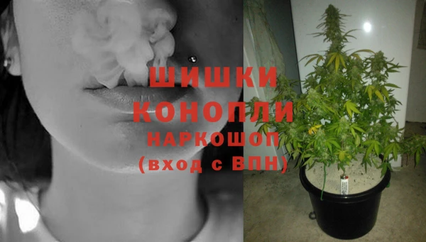 сатива Аркадак