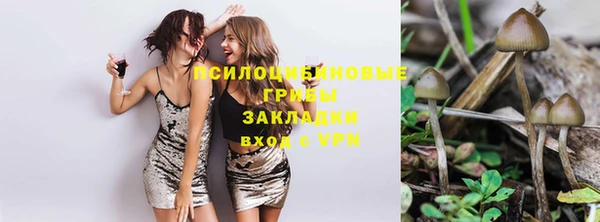сатива Аркадак