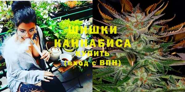 сатива Аркадак