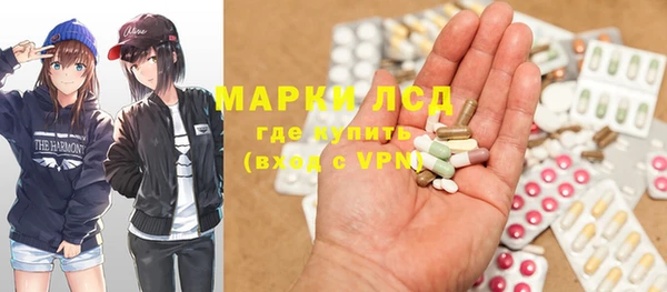 сатива Аркадак